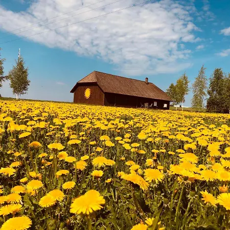 Voose Paeikesekodu Seminari- Ja Puhkekeskus