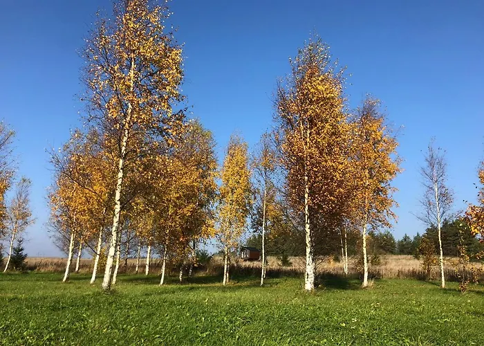 Voose Paeikesekodu Seminari- Ja Puhkekeskus Voose (Harjumaa)