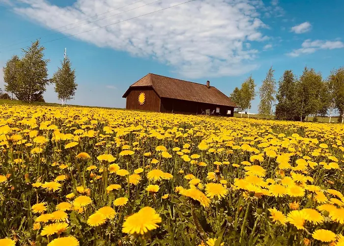 Voose Paeikesekodu Seminari- Ja Puhkekeskus