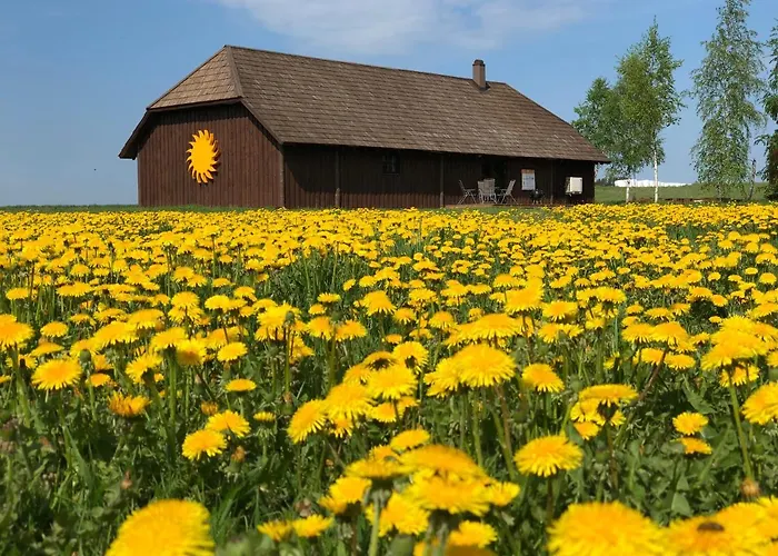 Voose Paeikesekodu Seminari- Ja Puhkekeskus *